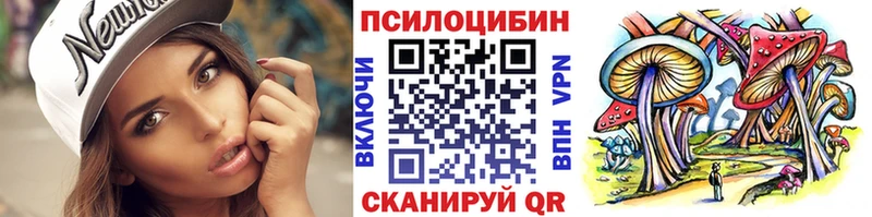 hydra зеркало  Карачаевск  Псилоцибиновые грибы Psilocybe 