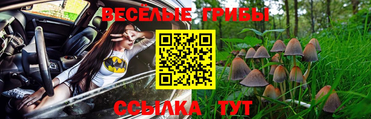 Псилоцибиновые грибы ЛСД  Вход с VPN  Карачаевск  Галлюциногенные грибы GOLDEN TEACHER 